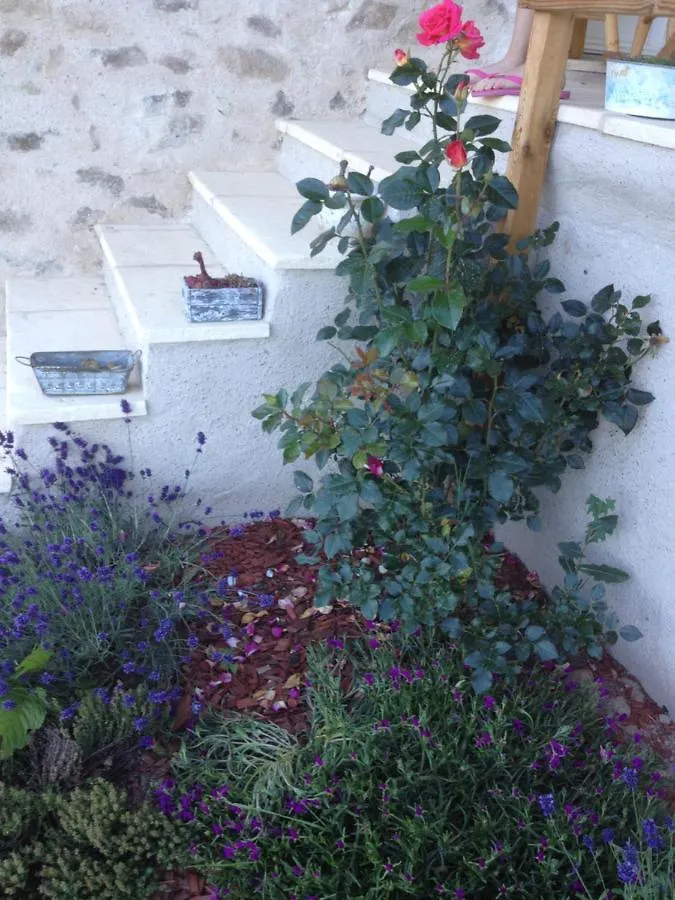 فيلا Le Domaine Des Terres Saint-Appolinaire  فرنسا
